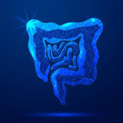 BioCare: Face to Face SEMINAR-  THE GUT, UNRAVELLED